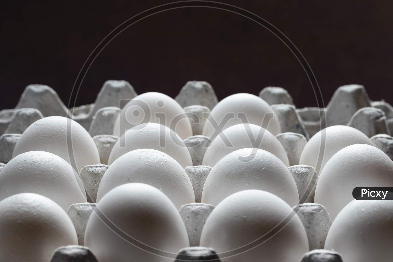 Rows Of White Poultry Eggs