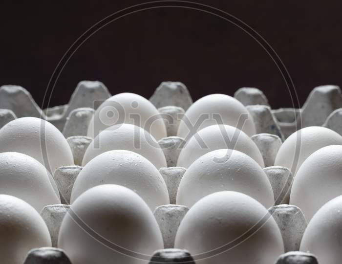 Rows Of White Poultry Eggs