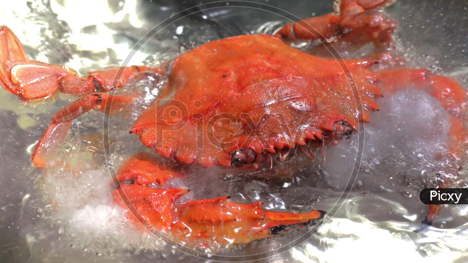 Boiling crab in hot water. Selective focus and shallow depth of field.