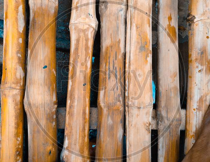 Bamboo Wood Wall Texture
