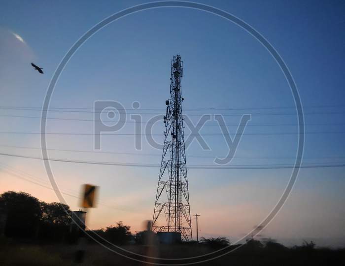 Early Morning Sunrise, Orange Color Sky, Sunlight Through Big High Voltage Electric Tower(Pole), Palm Tree And Other Trees