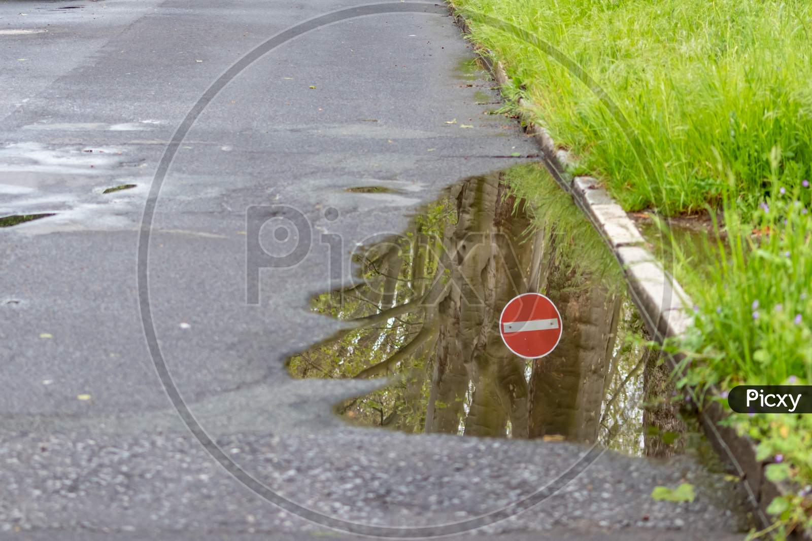 German road sign for one way and forbidden direction as restriction and prohibition for cars and road traffic as nice reflection on the water surface of a puddle after heavy rain on empty road