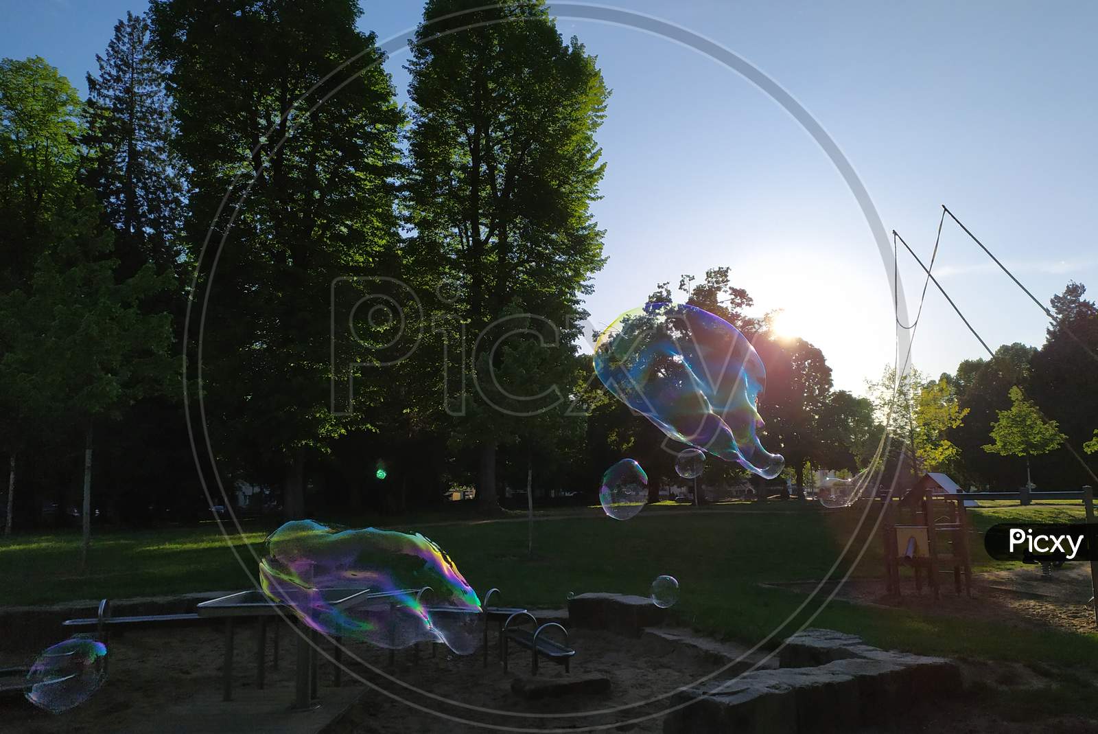 Gigantic soap bubbles shimmer and glimmer in the sun as colorful kids fun with fragile lightness as giant mega enormous bubbles spread joy and happiness blowing in the wind and sparkling in the sun