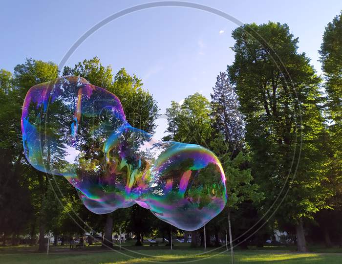 Gigantic soap bubbles shimmer and glimmer in the sun as colorful kids fun with fragile lightness as giant mega enormous bubbles spread joy and happiness blowing in the wind and sparkling in the sun