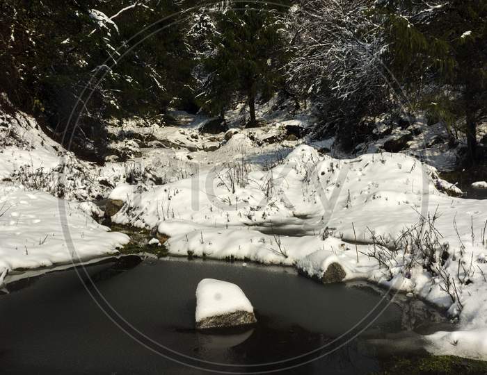 Fresh Snow On Rocks And Little Water Body With Beautiful Trees In Background At Yumthang Valley, Sikkim, India.