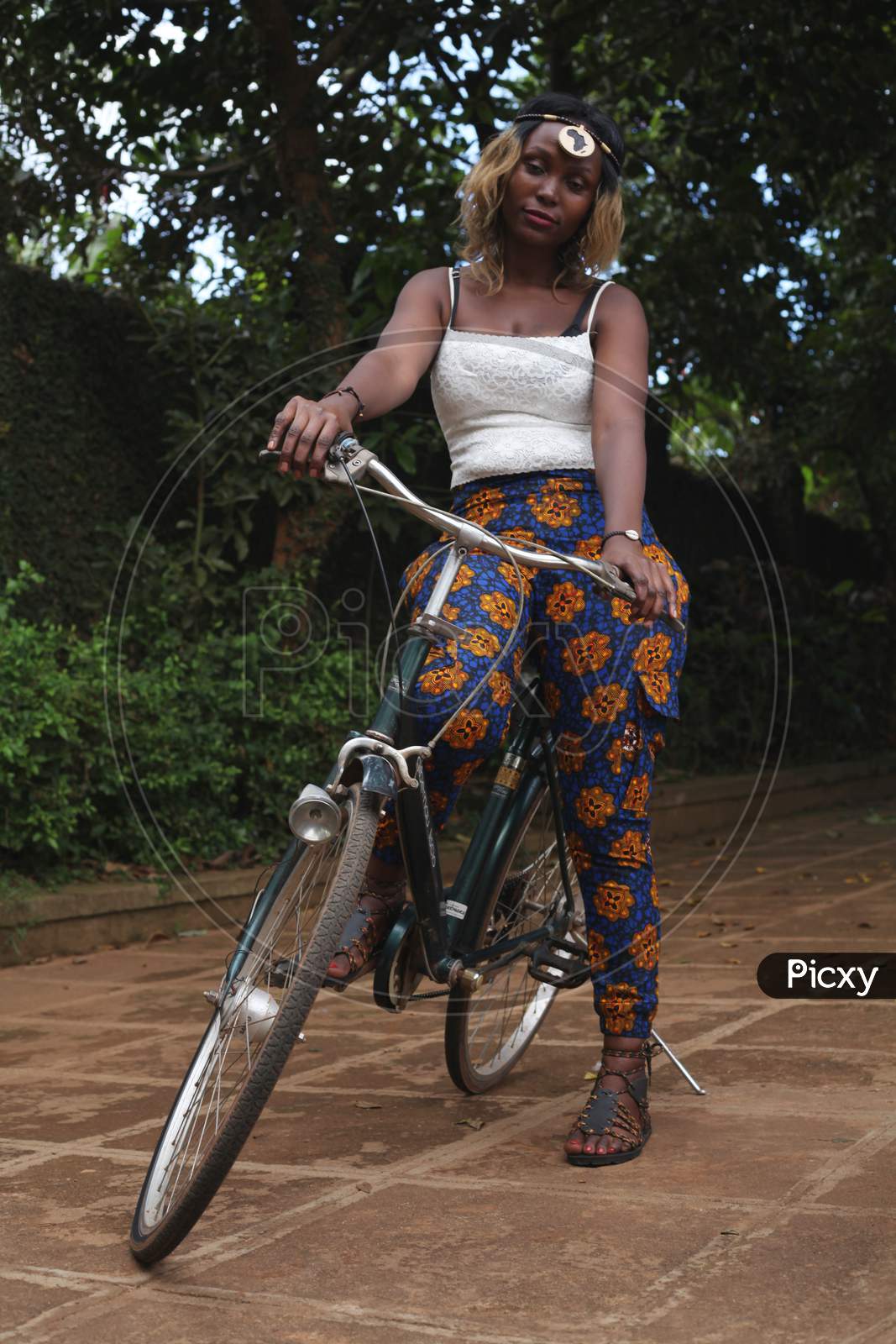 70+ Free Bicycle Portraits & Bicycle Images - Pixabay