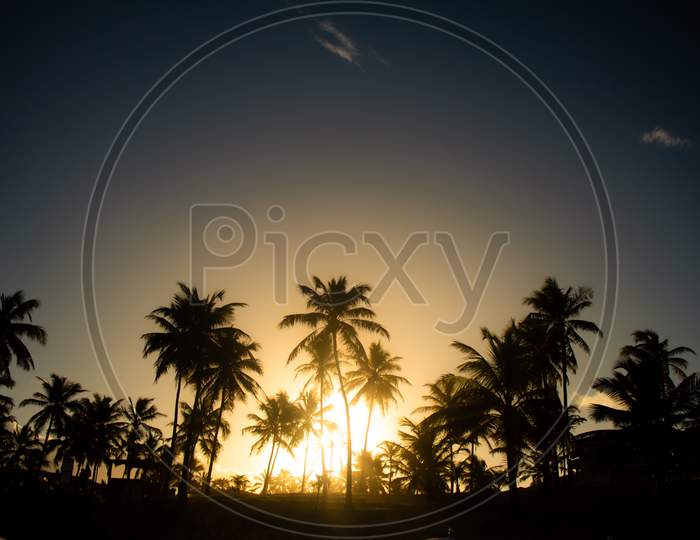 Beautiful Sunset Among Palm Trees. Beach Vacation Landscape.