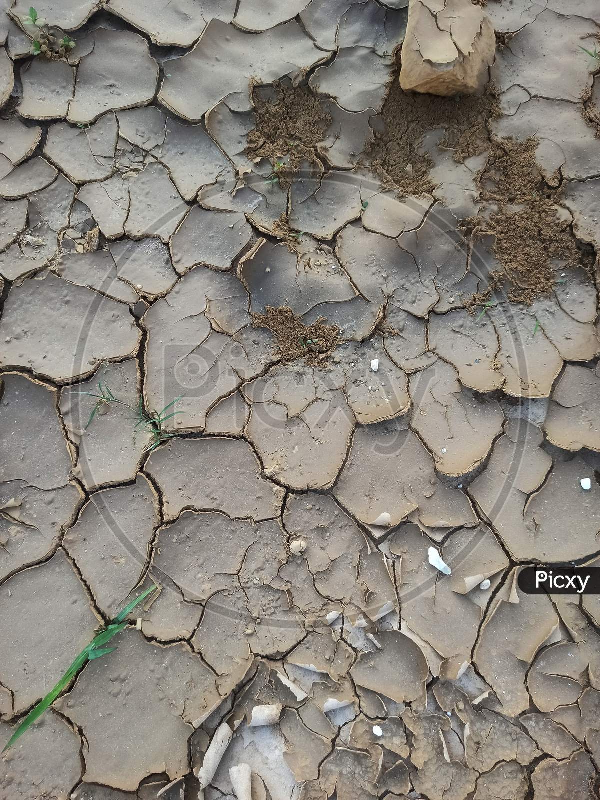 Dry cracked land due to the scarcity of water in summer.