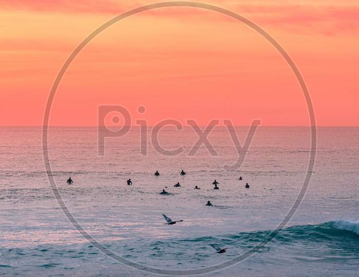Sunset image with some birds in water