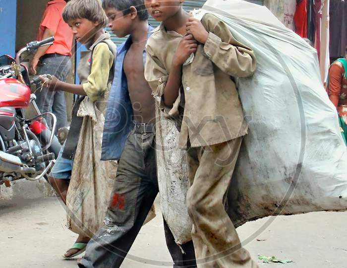 A poor three Indian rag picker boy carrying a huge load of garbage collected during the day.