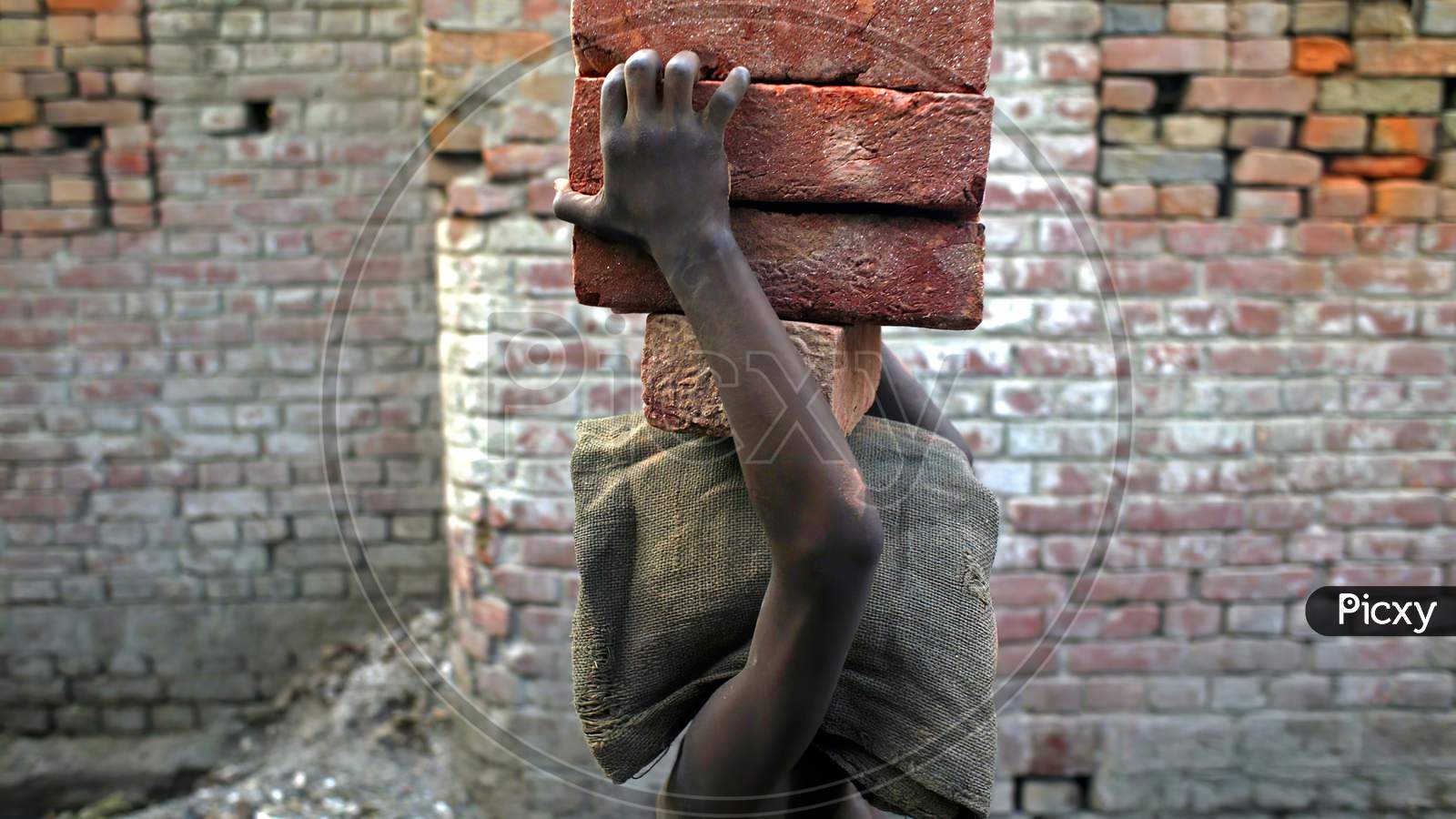 A poor worker carrying heavy bricks on her head.