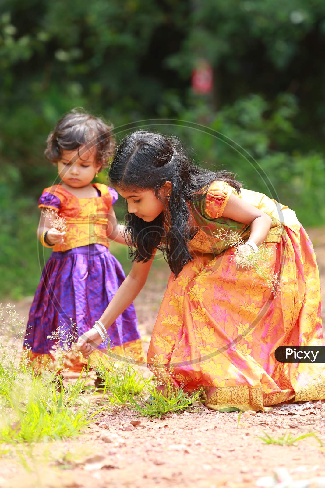 image-of-south-indian-girl-kids-ea831505-picxy