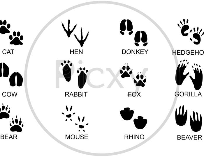 Animals footprints. Animal trails.Animal feet silhouette, frog footprint and pets foots silhouettes prints illustration set