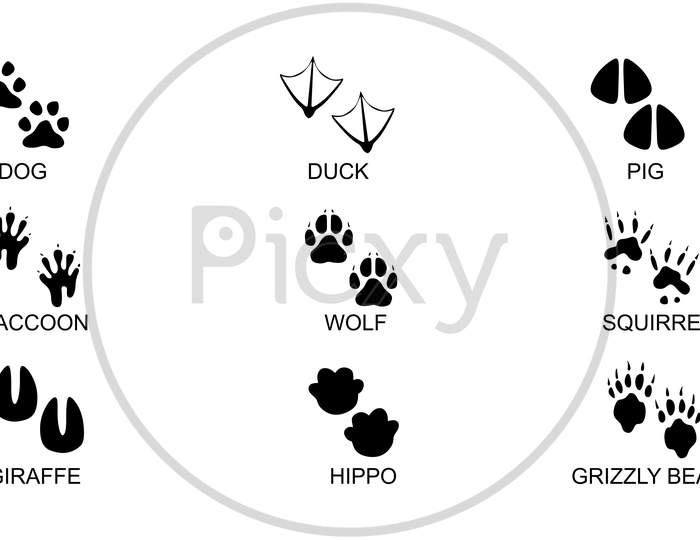 Animals footprints. Animal trails.Animal feet silhouette, frog footprint and pets foots silhouettes prints illustration set