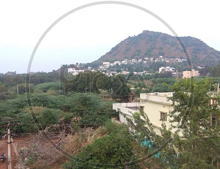 Urban development of hill, plants and buildings