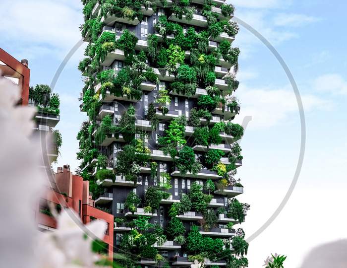 Building with plant