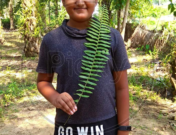 Young boy  holding long leaf at palm tree form