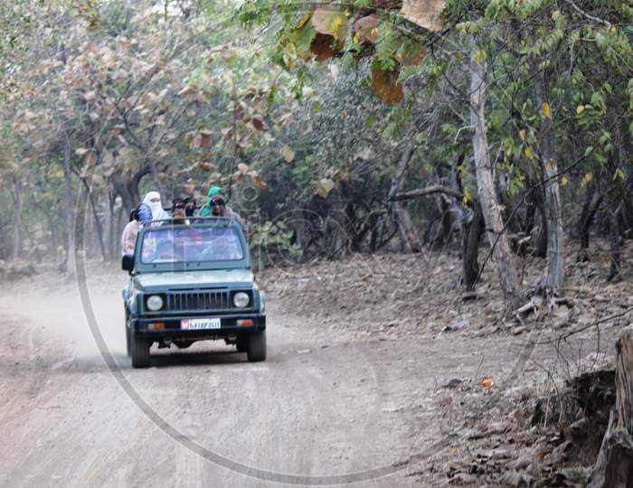Jeep Safari In Gir National Park