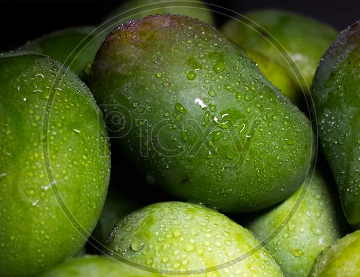 Mangoes, mangifera indica