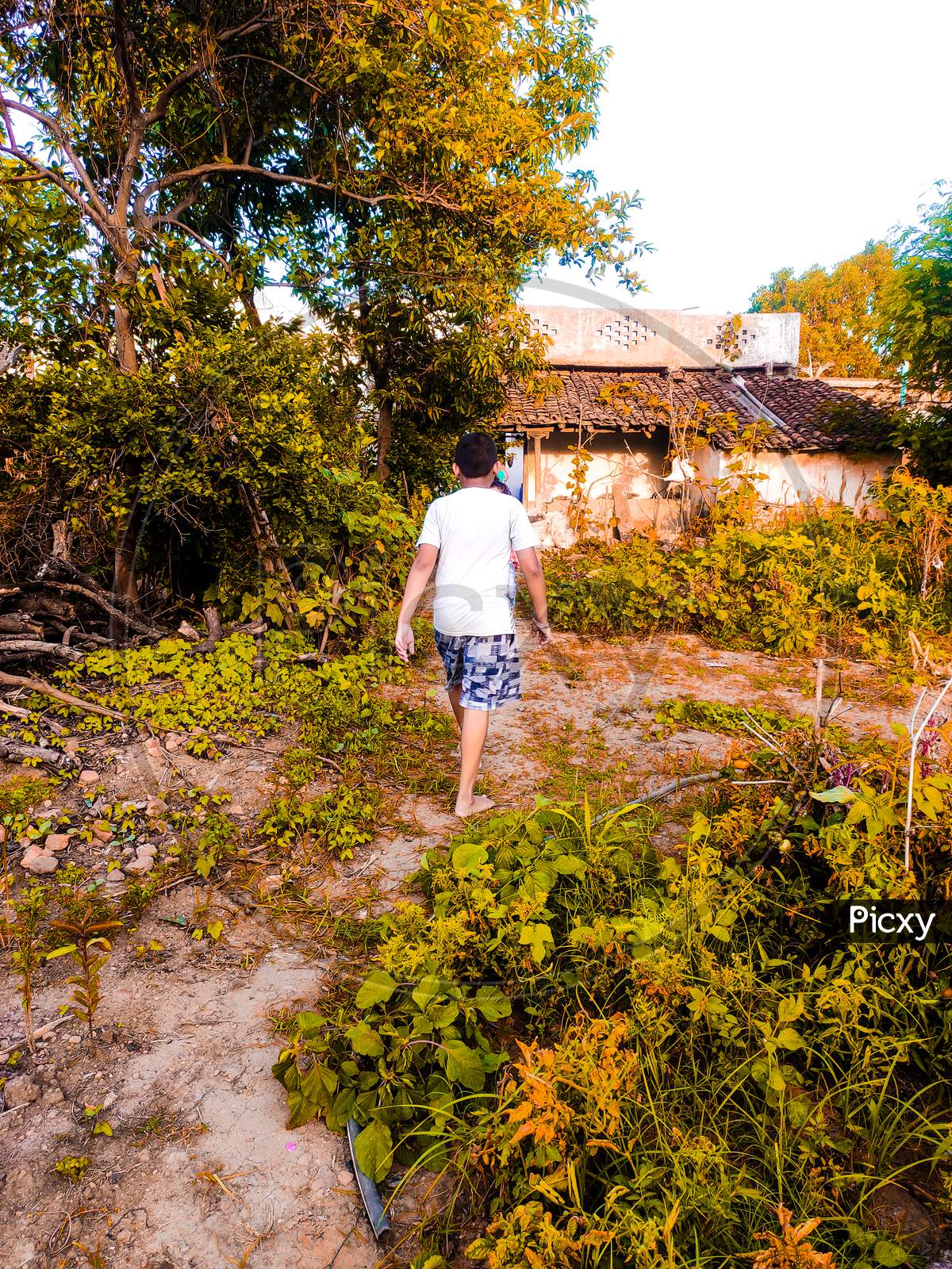 Image of nature bv444044 picxy