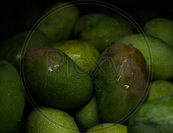 Mangoes, mangifera indica