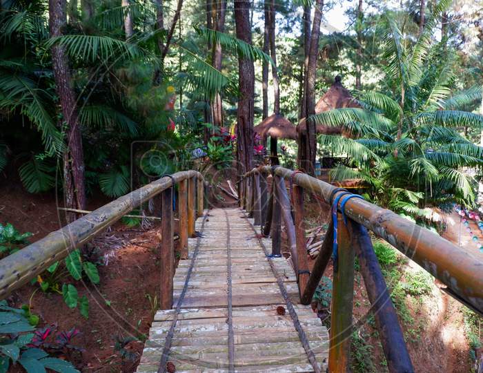 Photo Of A Bridge Made Of Bamboo In A Pine Forest
