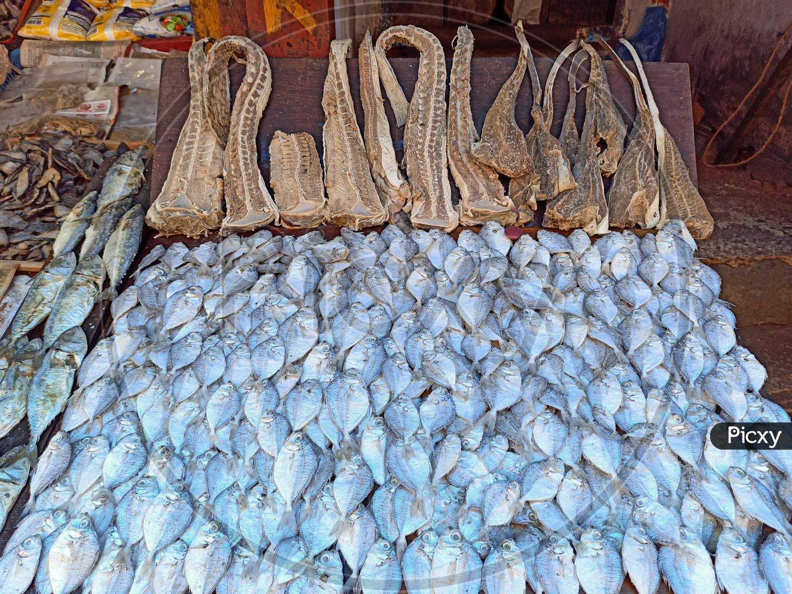 Image of Dry Fish-CR715239-Picxy