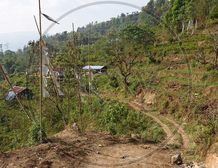 Remote Village With Cultivation Of Amomum Subulatum.