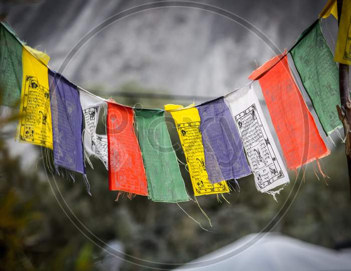 flags in ladakh valley