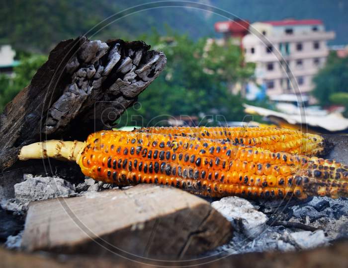 roasted corn
