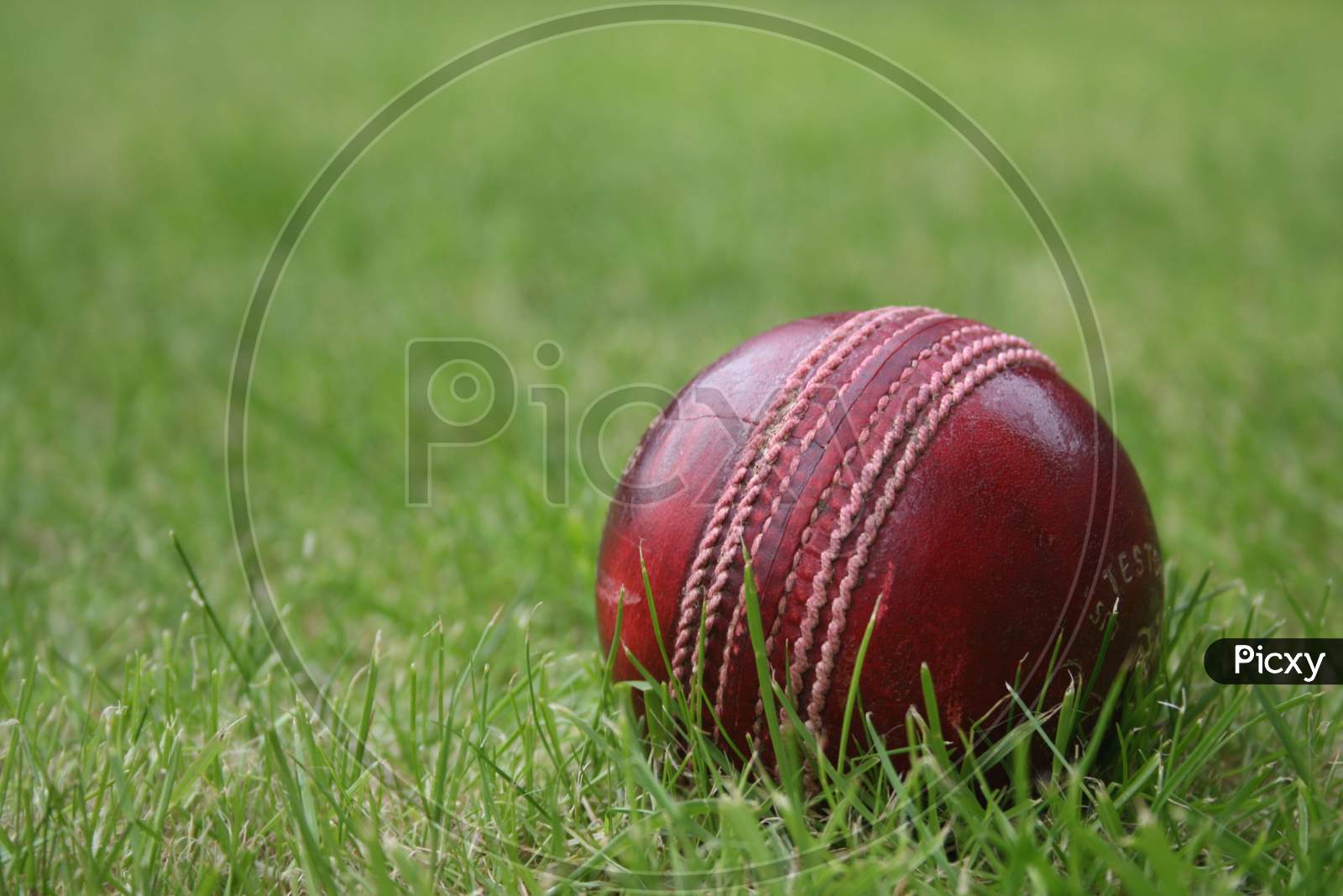 red leather cricket ball on grass