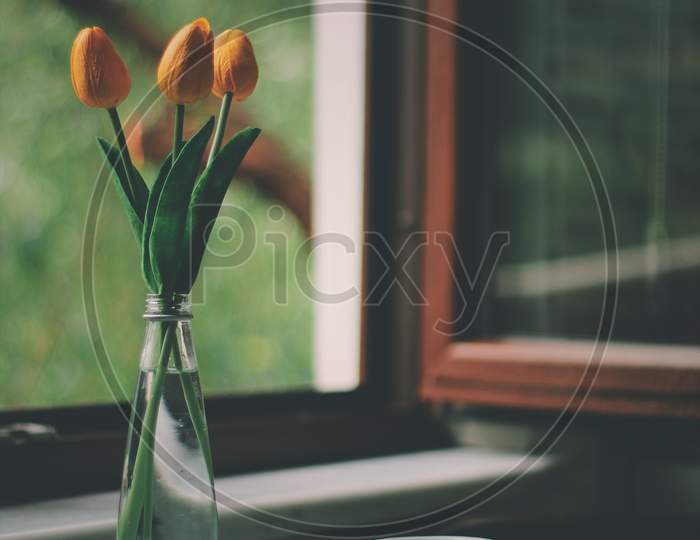 yellow tulips in a glass bottle