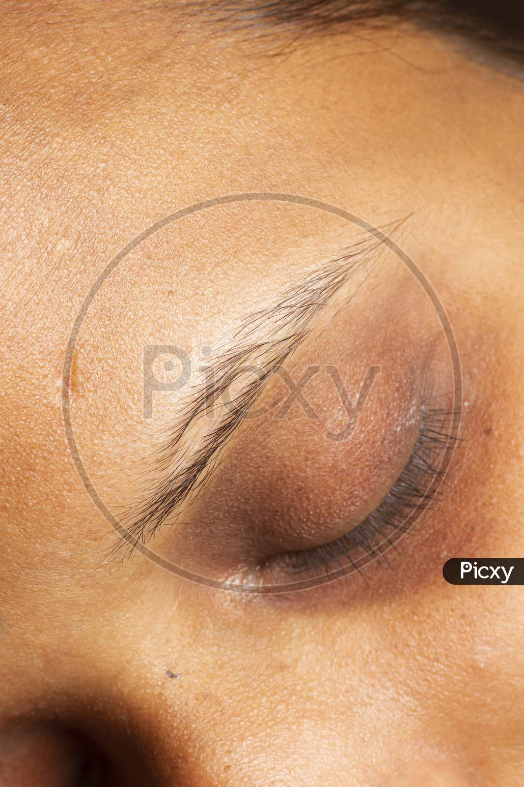 Closeup Macro Shot Of Closed Human Female Eye. Close Up Of Patchy Eyebrow