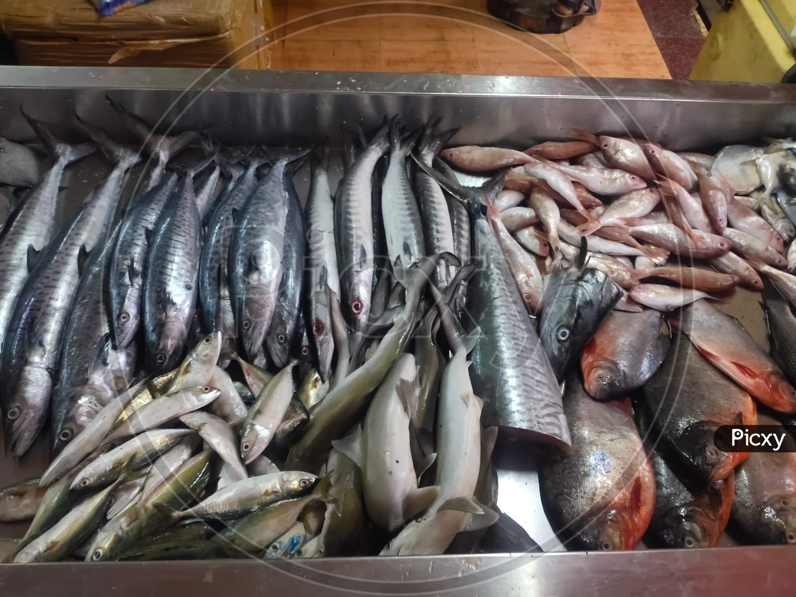 Seafood Market - Fresh Sea Fishes On Fish Market.