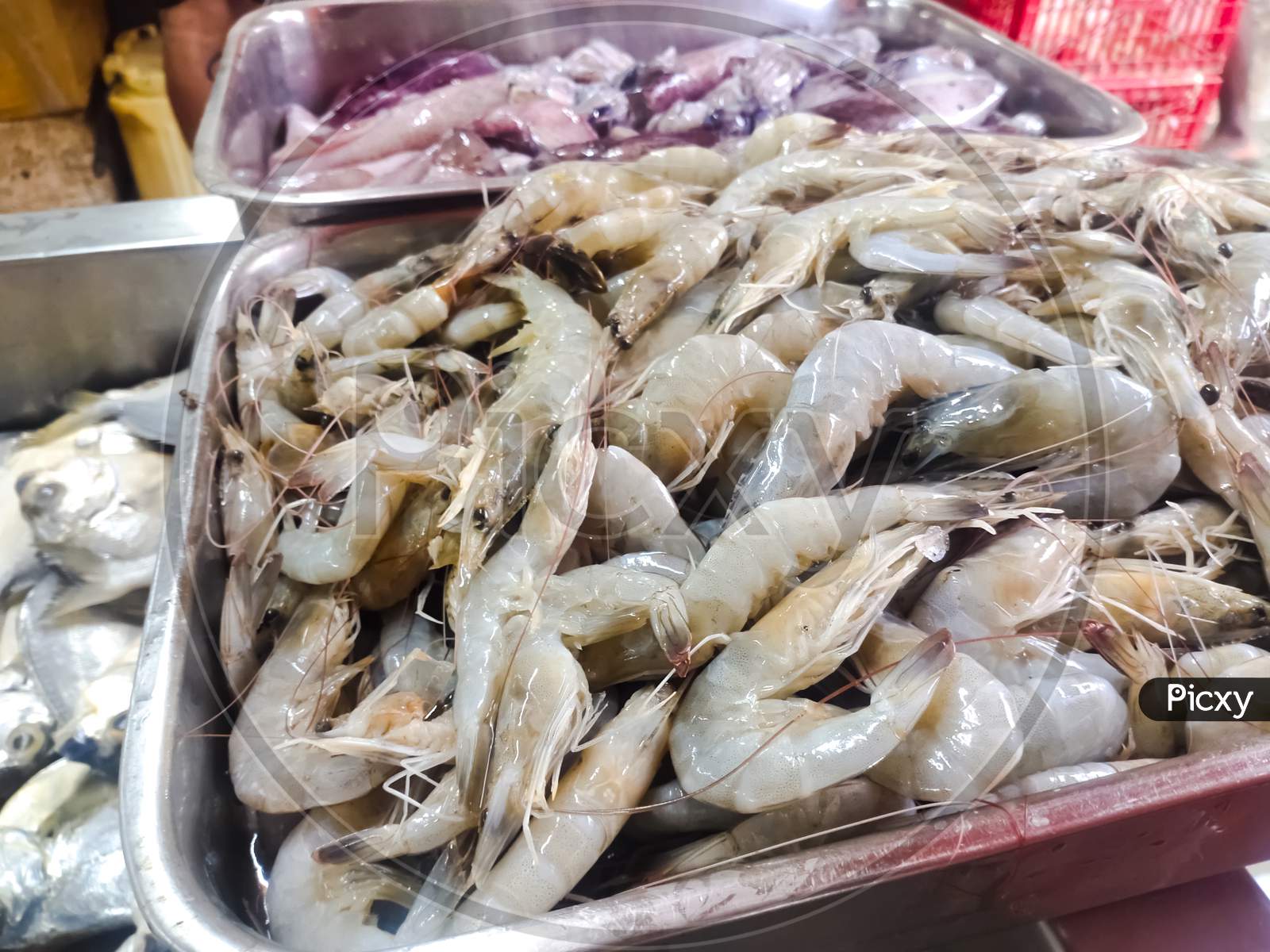 Seafood Market - Fresh Sea Fishes On Fish Market.