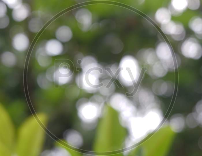 Blur Background Captured In Nature