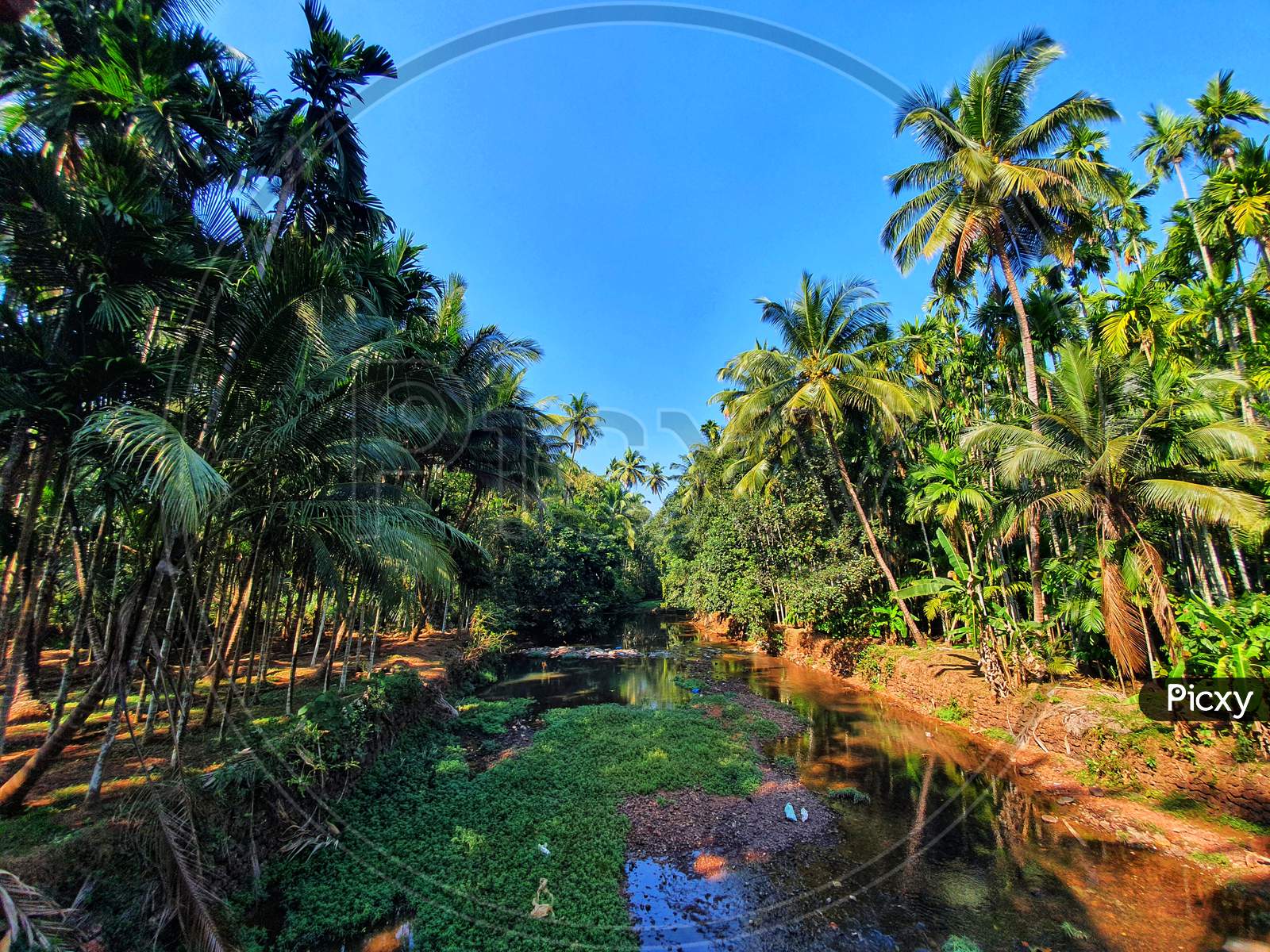 355 Ratnagiri Konkan Stock Photos - Free & Royalty-Free Stock Photos from  Dreamstime