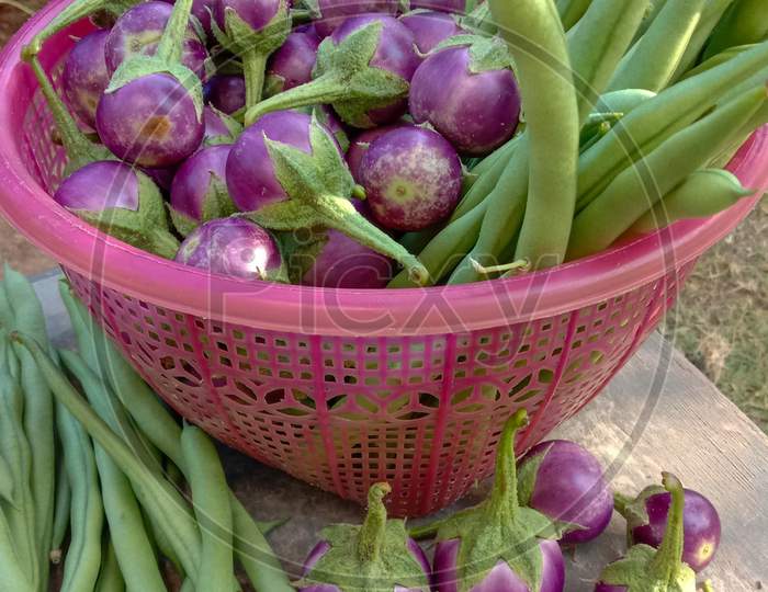 Photo Of Purple Eggplant And Green Beans In A Plastic Container