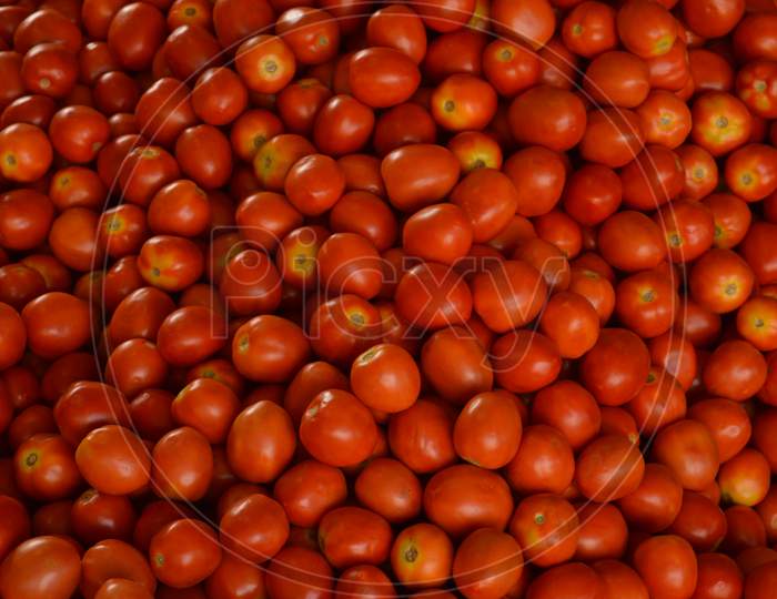 Red Tomatoes Background. Group Of Tomatoes