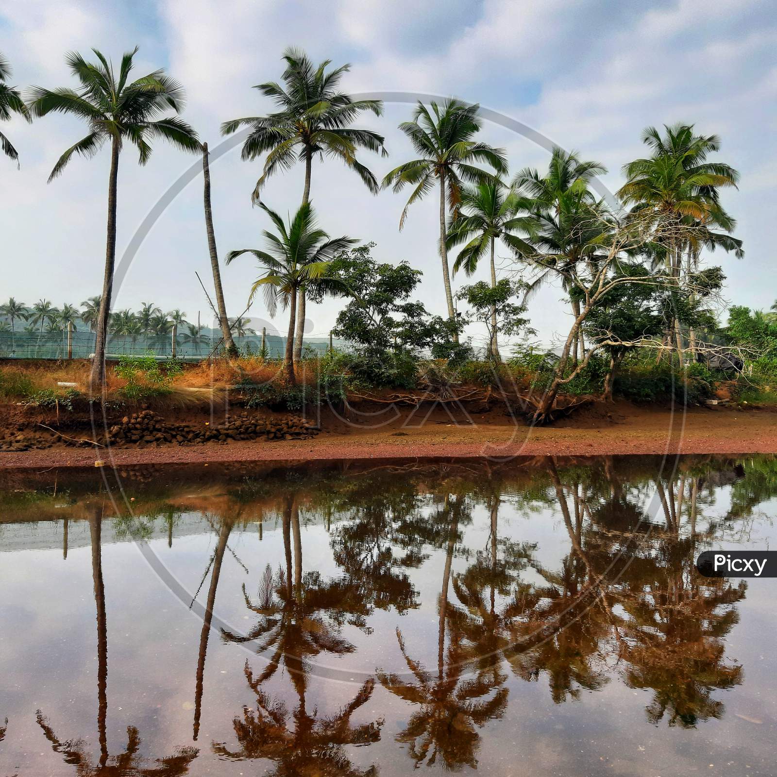 Konkan region hi-res stock photography and images - Alamy