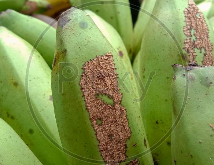 The Photo Is A Photo Of A Banana. Fresh Banana Photos
