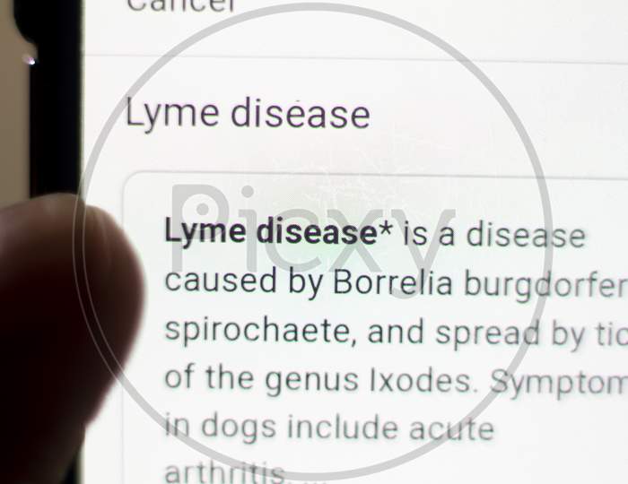 Lyme Disease News On The Phone.Mobile Phone In Hands. Selective Focus And Chromatic Aberration Effects.