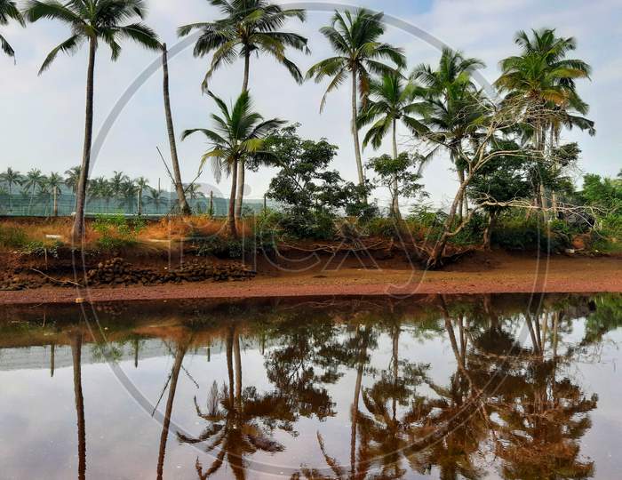 Monsoon season , Konkan , Maharashtra , India, Stock Photo, Picture And  Rights Managed Image. Pic. DPA-STP-174505 | agefotostock