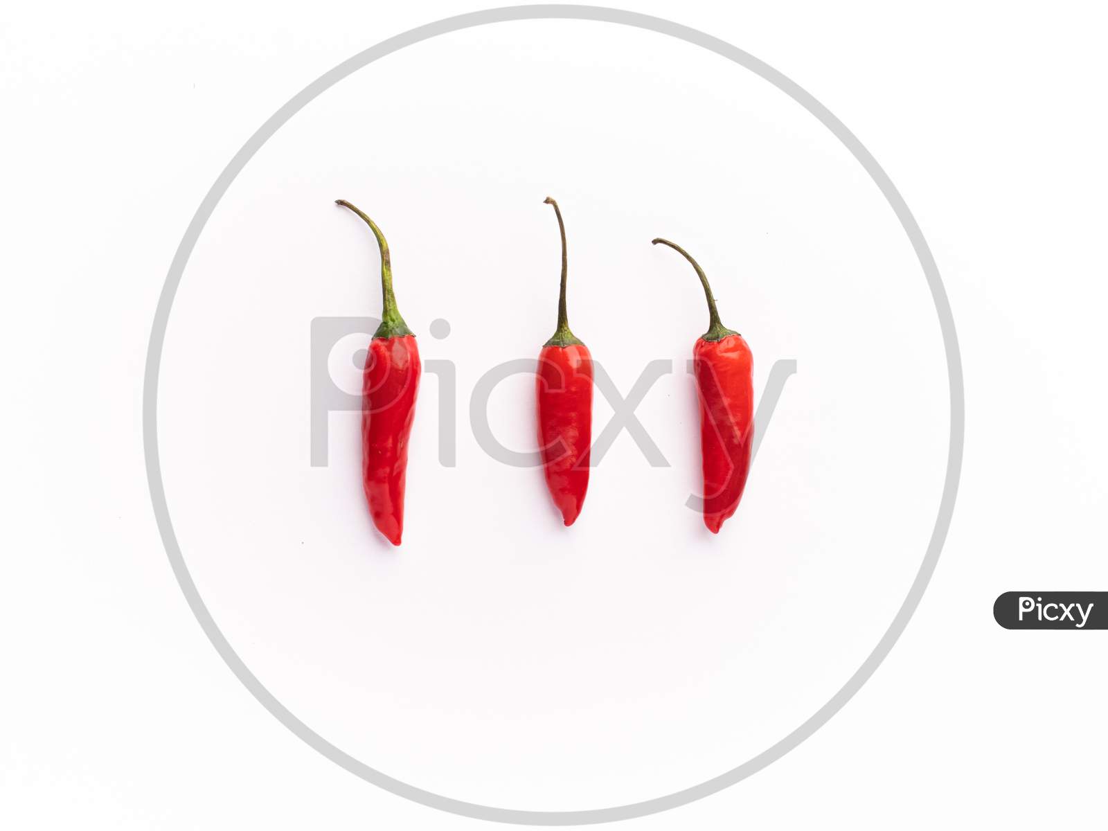 Fresh Red Chili with white background stock image.