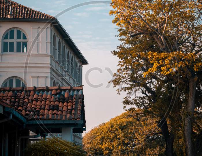 Amangalla Hotel Building And The Tall Trees And The Streets In Galle Fort Evening Landscape Photograph.