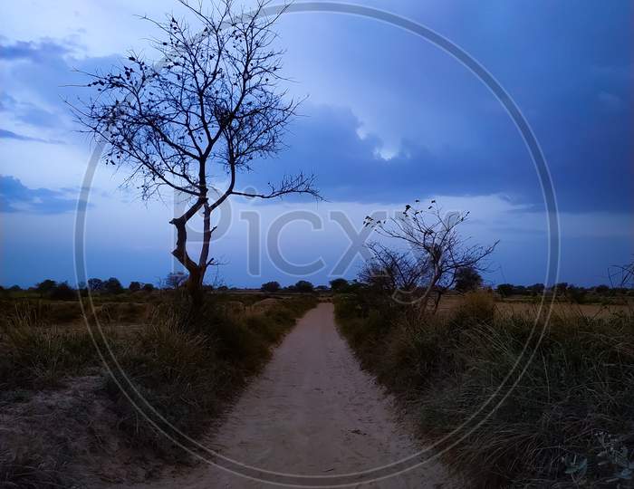A Dirt Road Surrounded By Landscape Field On A Blue Sky