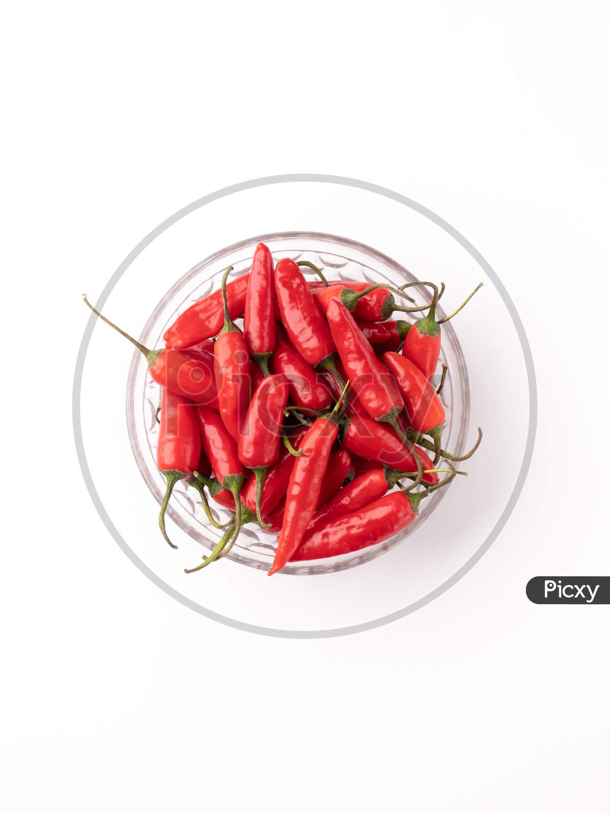 Fresh Red Chili with white background stock image.