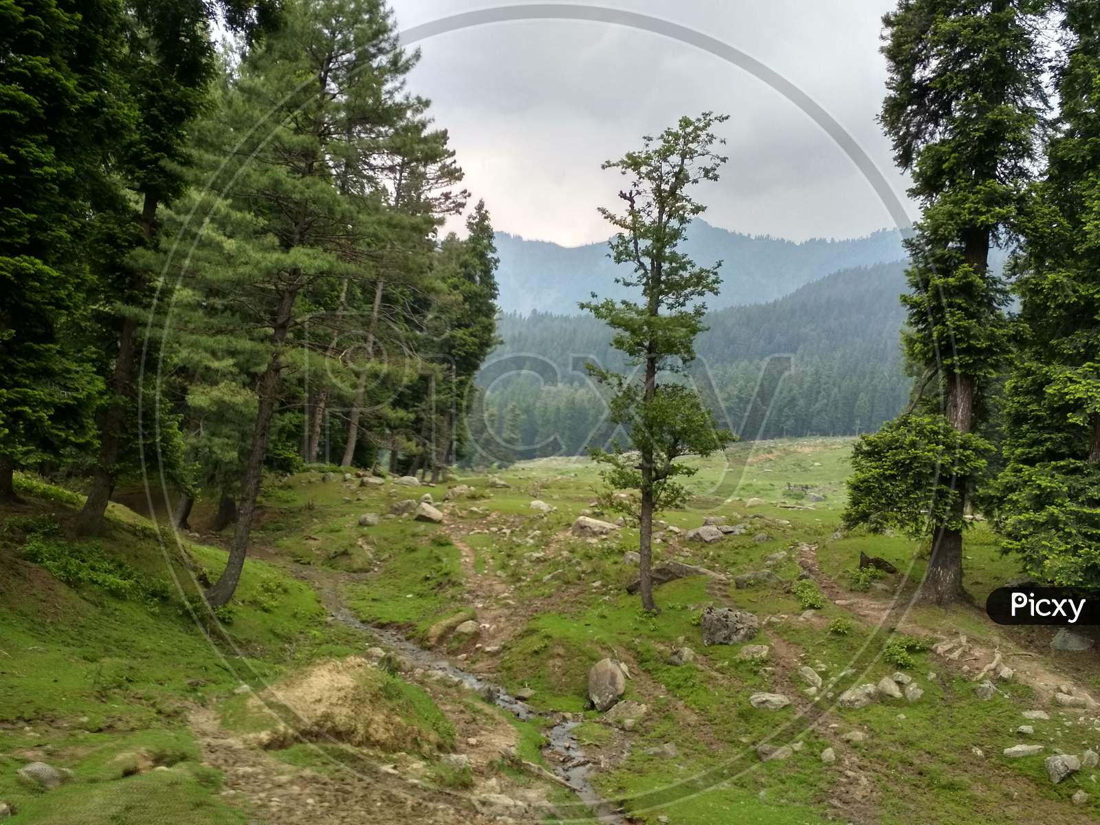 A Beautiful view and environment of deenu valley in Kashmir