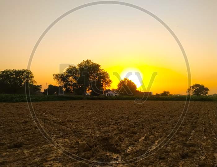 Vertical Shot Of A Field On A Beautiful Sunrise