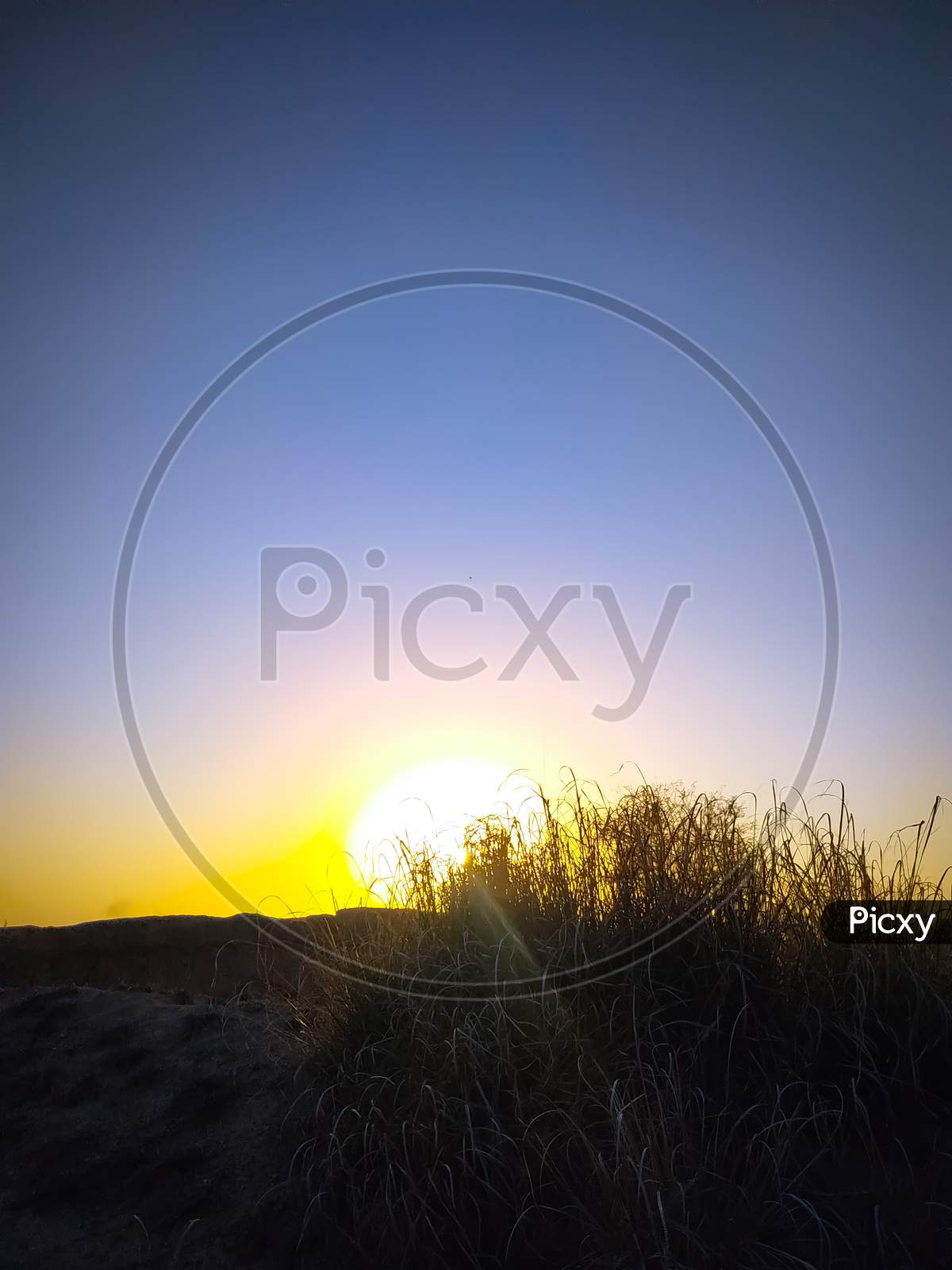 Vertical Shot Of A Beautiful Sunrise With A Clear Sky